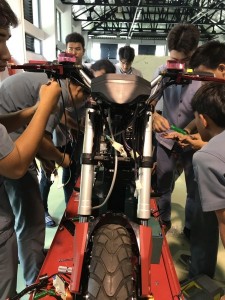 S__4128859_450x600.jpg