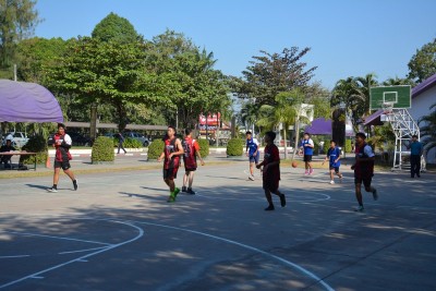 DSC_0166_800x534.JPG