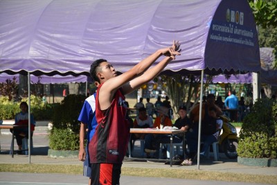 DSC_0170_800x534.JPG