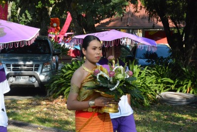 DSC_0223_800x534.JPG