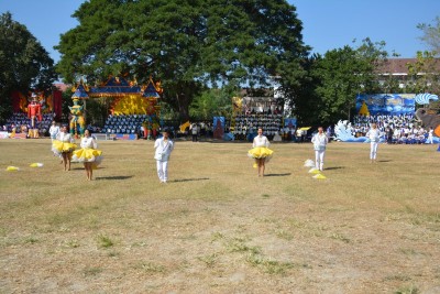 DSC_0647_800x534.JPG