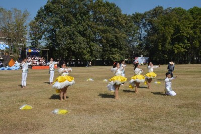DSC_0656_800x534.JPG