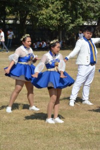 DSC_0714_800x534.JPG
