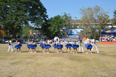 DSC_0732_800x534.JPG