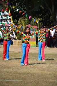 DSC_0750_800x534.JPG