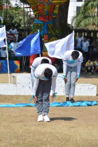 DSC_0812_800x534.JPG