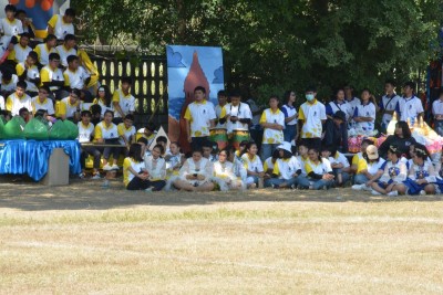 DSC_0920_800x534.JPG