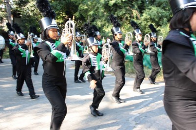 IMG_2985_800x533.JPG