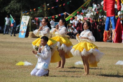 IMG_8550_800x533.JPG