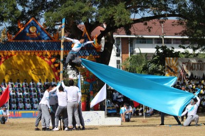 IMG_8697_800x533.JPG