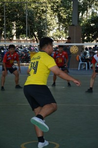 DSC_0266_800x534.JPG
