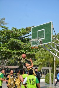 DSC_0295_800x534.JPG