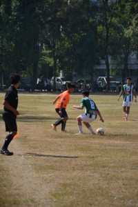 DSC_0361_800x534.JPG
