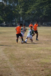 DSC_0364_800x534.JPG