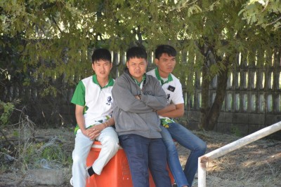 DSC_0420_800x534.JPG