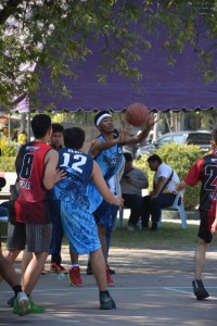 DSC_0478_800x534.JPG