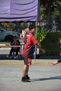 DSC_0487_800x534.JPG