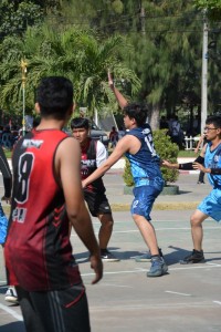 DSC_0488_800x534.JPG