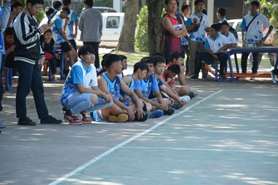 DSC_0508_800x534.JPG