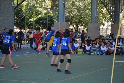 DSC_0543_800x534.JPG