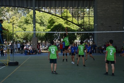 DSC_0556_800x534.JPG