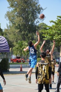 DSC_0752_800x534.JPG