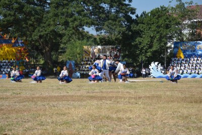 DSC_0071_800x534.JPG
