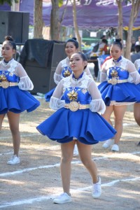 DSC_0861_800x534.JPG