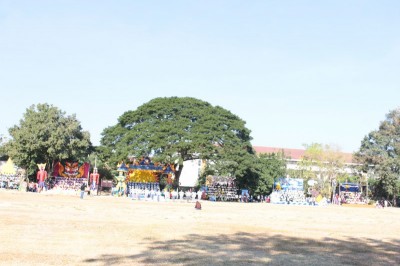 IMG_3562_800x533.JPG