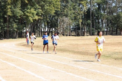 IMG_3813_800x533.JPG