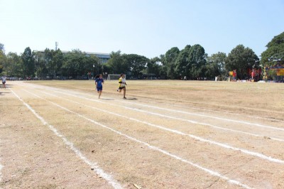 IMG_3992_800x533.JPG
