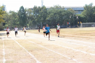 IMG_4037_800x533.JPG