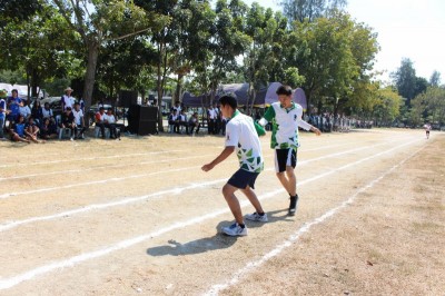 IMG_4111_800x533.JPG
