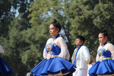 IMG_8926_800x533.JPG