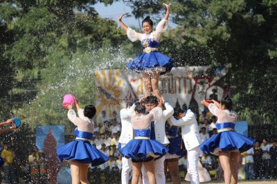 IMG_8981_800x533.JPG