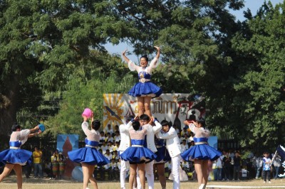 IMG_8987_800x533.JPG