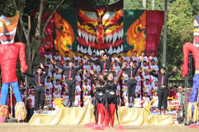 IMG_9016_800x533.JPG