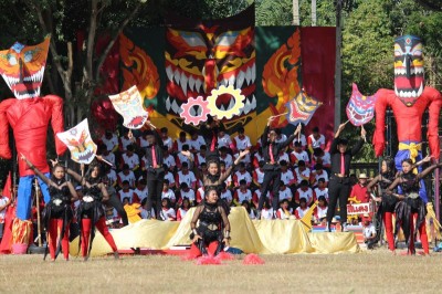 IMG_9025_800x533.JPG
