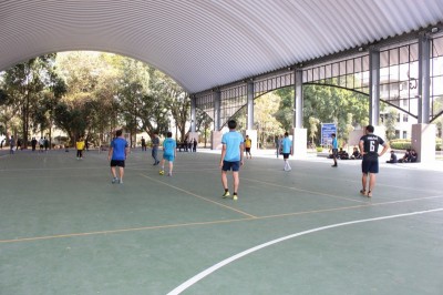 IMG_4336_800x533.JPG
