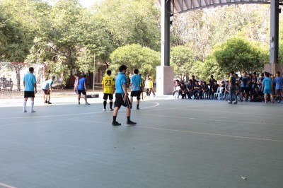 IMG_4365_800x533.JPG