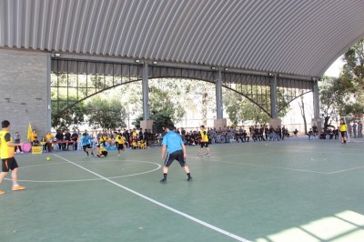 IMG_4367_800x533.JPG