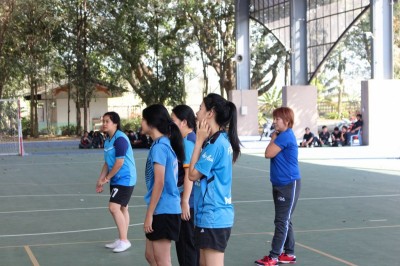 IMG_4390_800x533.JPG