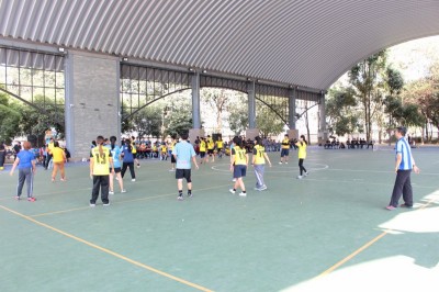 IMG_4412_800x533.JPG