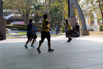 IMG_9538_800x533.JPG