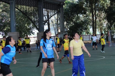 IMG_9582_800x533.JPG