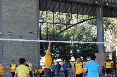 IMG_9683_800x533.JPG