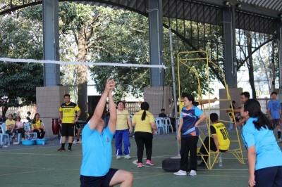 IMG_9684_800x533.JPG