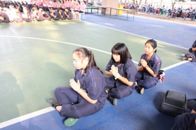 IMG_6989_800x533.JPG