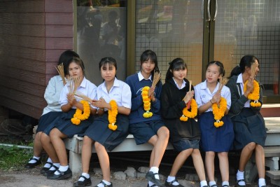 DSC_0186_800x534.JPG