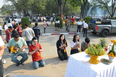 DSC_0232_800x534.JPG